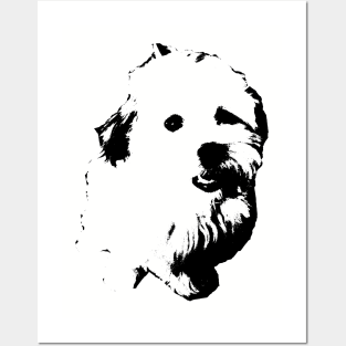 cute dog, puppy, havanese, bolonka, giftidea Posters and Art